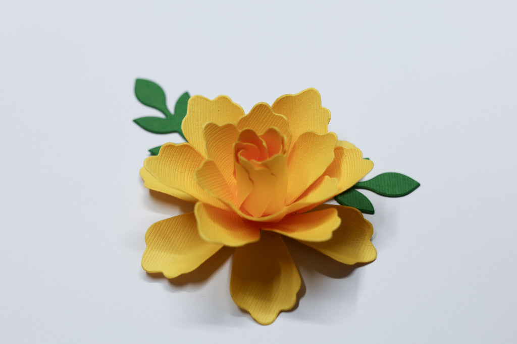 PREORDER - Que Bonita! Daffodil Flower by Ana Cervantes – Wooden Die