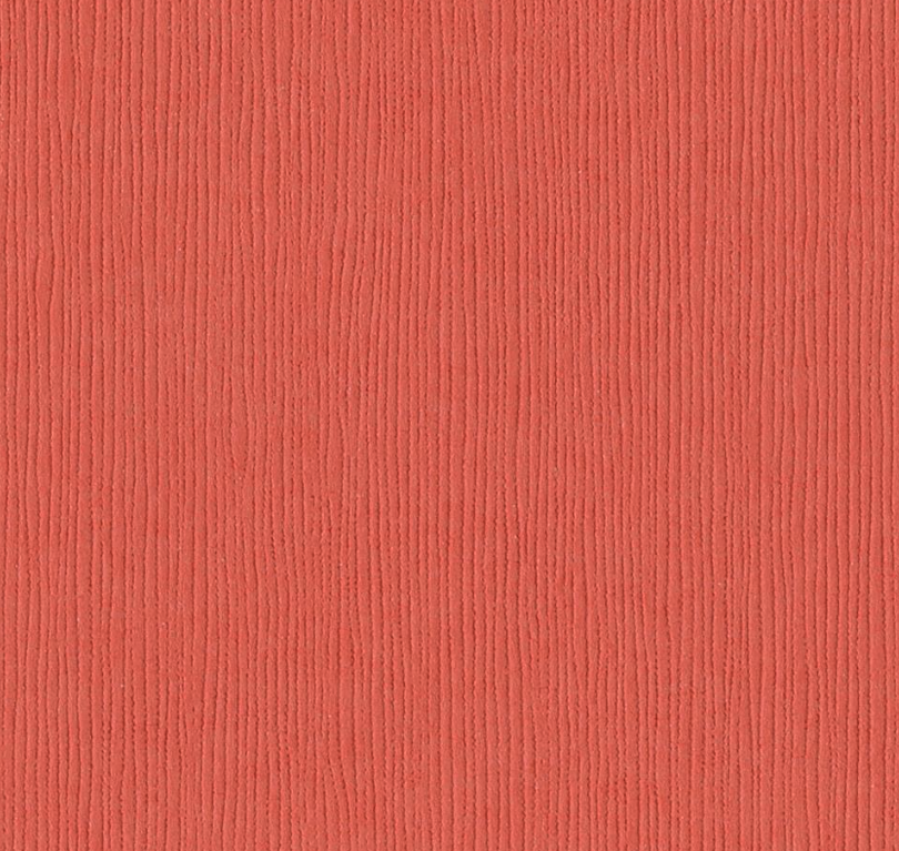 Bazzill Fourz Cardstock 12"X12" - 25 sheets per pack