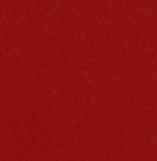 Bazzill Card Shoppe Heavyweight Cardstock 12"X12"