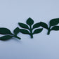 PREORDER - Amor Eterno Leaves II – Wooden Die (MID-NOVEMBER)