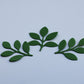 PREORDER - Amor Eterno Leaves I – Wooden Die (MID-NOVEMBER)