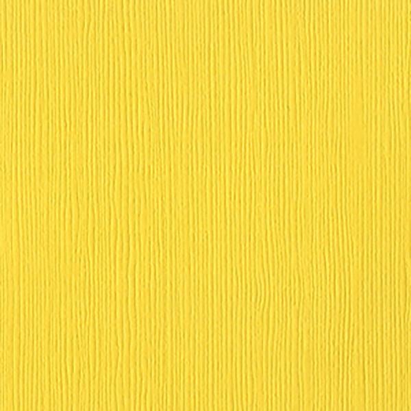 Bazzill Fourz Cardstock 12"X12"