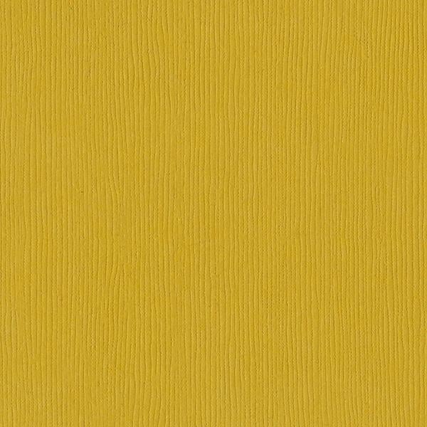 Bazzill Fourz Cardstock 12"X12"