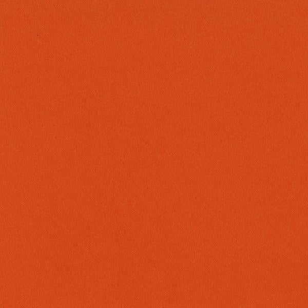 Bazzill Mono Cardstock 12"X12"