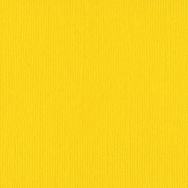 Bazzill Mono Cardstock 12"X12"