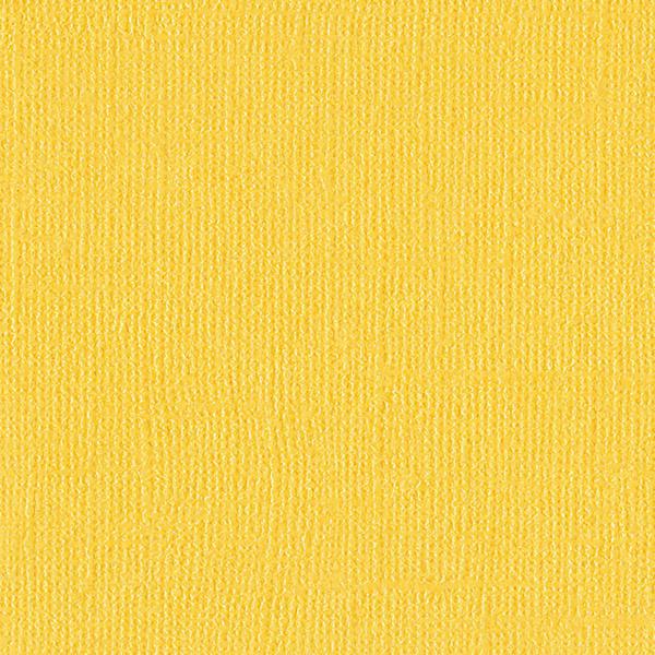 Bazzill Bling Cardstock 12"X12"