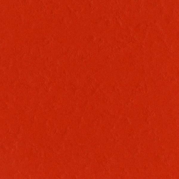 Bazzill Fourz Cardstock 12"X12"