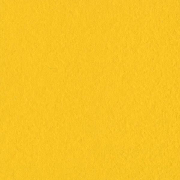 Bazzill Mono Cardstock 12"X12"