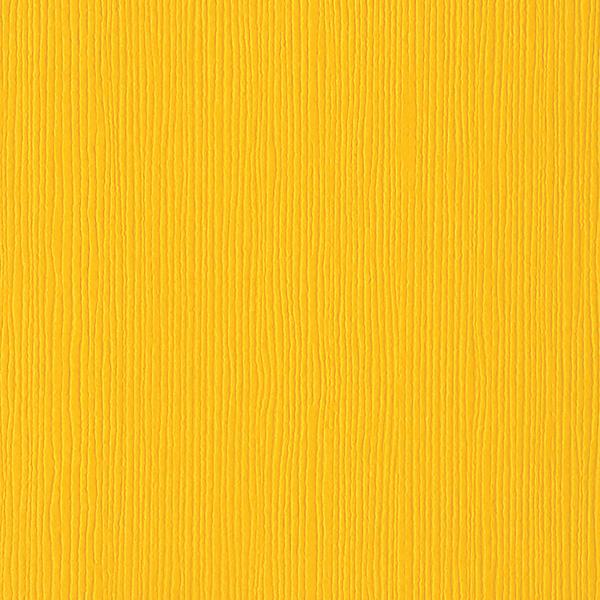 Bazzill Fourz Cardstock 12"X12"