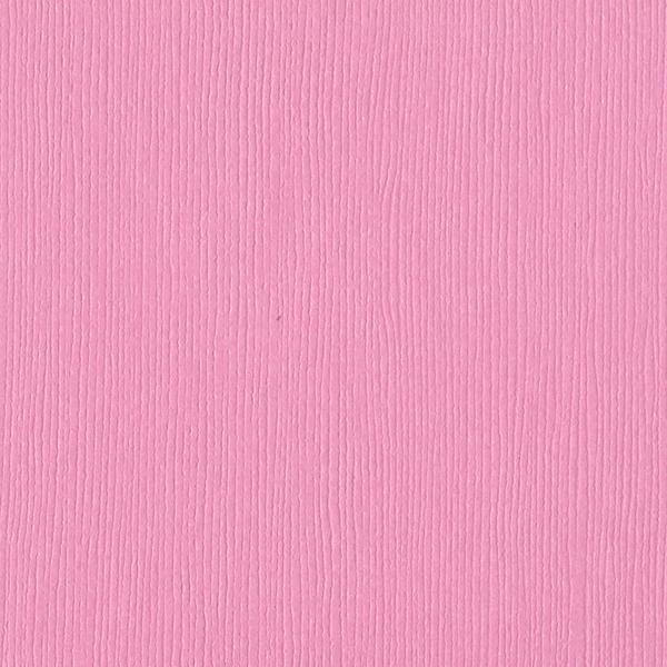 BAZZILL Fussy Fourz 12" x 12" Cardstock