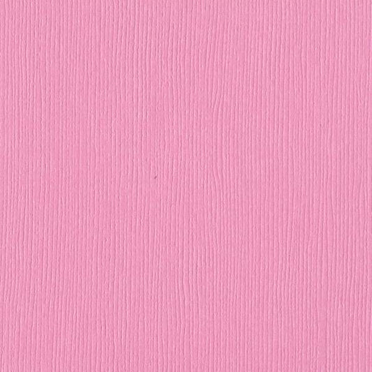 BAZZILL Fussy Fourz 12" x 12" Cardstock