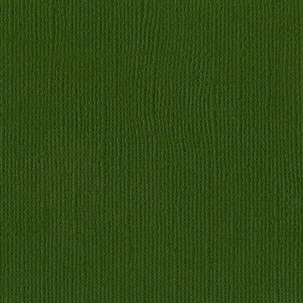 Bazzill Mono Cardstock 12"X12"