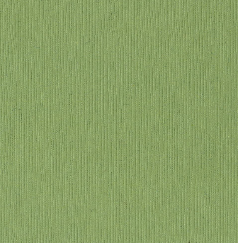 Bazzill Fourz Cardstock 12"X12"