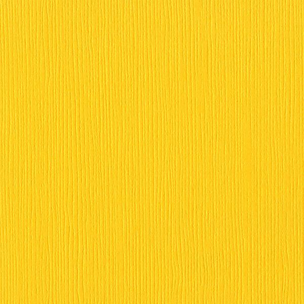 Bazzill Fourz Cardstock 12"X12"