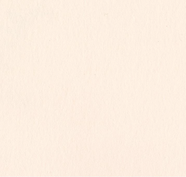 Bazzill Card Shoppe Heavyweight Cardstock 12"X12"