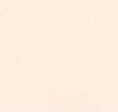 Bazzill Card Shoppe Heavyweight Cardstock 12"X12"