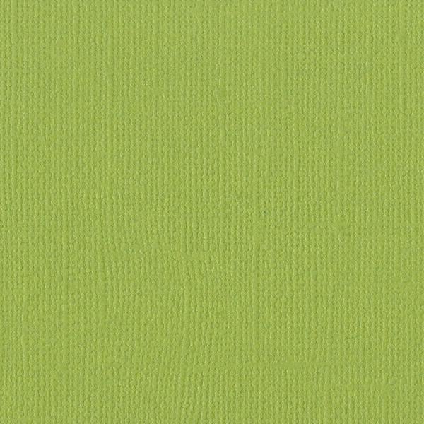 Bazzill Mono Cardstock 12"X12"