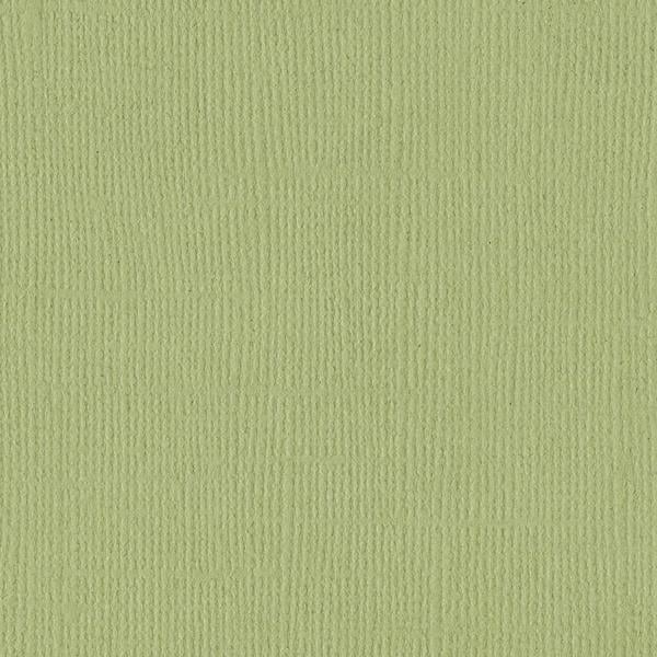 Bazzill Mono Cardstock 12"X12"