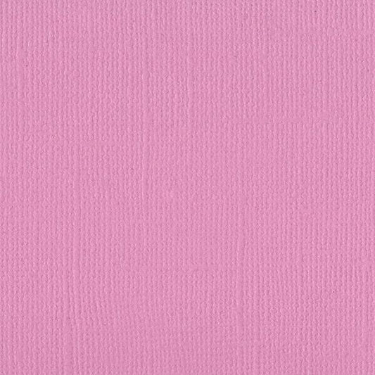 BAZZILL Petunia Mono 12" x 12" Cardstock