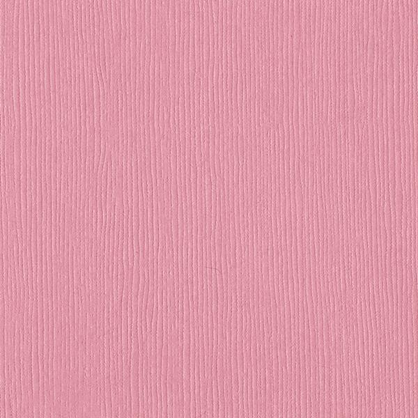 BAZZILL Piglet Fourz 12" x 12" Cardstock