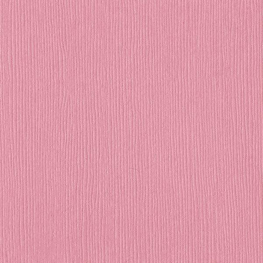 BAZZILL Piglet Fourz 12" x 12" Cardstock