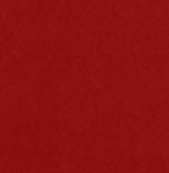 Bazzill Card Shoppe Heavyweight Cardstock 12"X12"